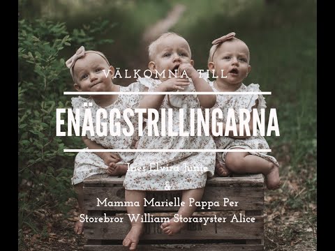 Enäggstrillingarna