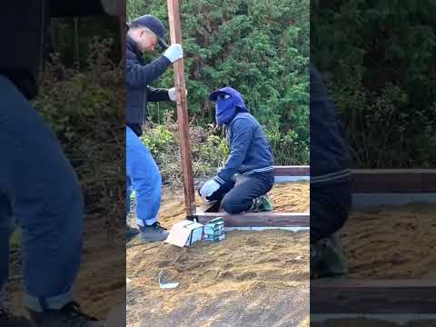 鶏小屋を酢で消毒する