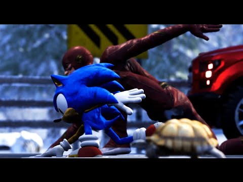 Sonic vs The Flash Vs Tortoise EPIC RACE