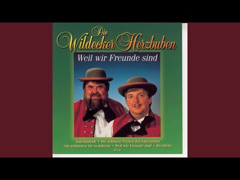 Alles Glück Dieser Welt - Wildecker Herzbuben