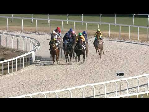 2021.10.31. 05. futam - BAYER ANDRÁS EMLÉKVERSENY HENDIKEP (III.o.) (szintetikus pálya)