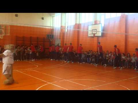 GhidSportiv - Echipa Romaniei de volei