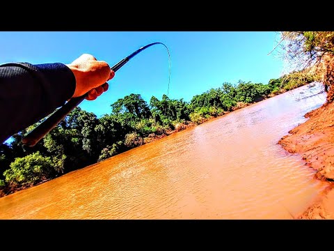 Fishing for Campinas Piau in the Cai River | Never think a fishing trip is lost, see why!
