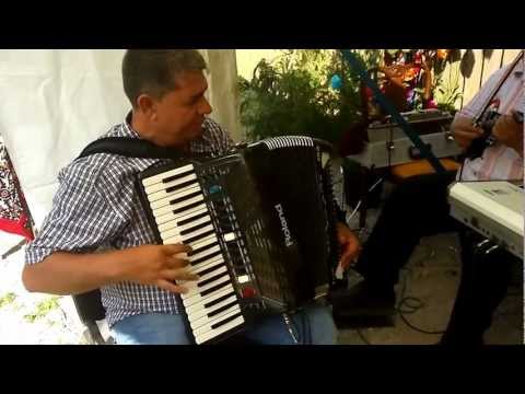 Costel de la Valea Dragului-hora .mp4