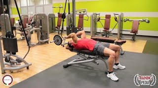 French Press Exercise: Triceps Extension Technique & Guide