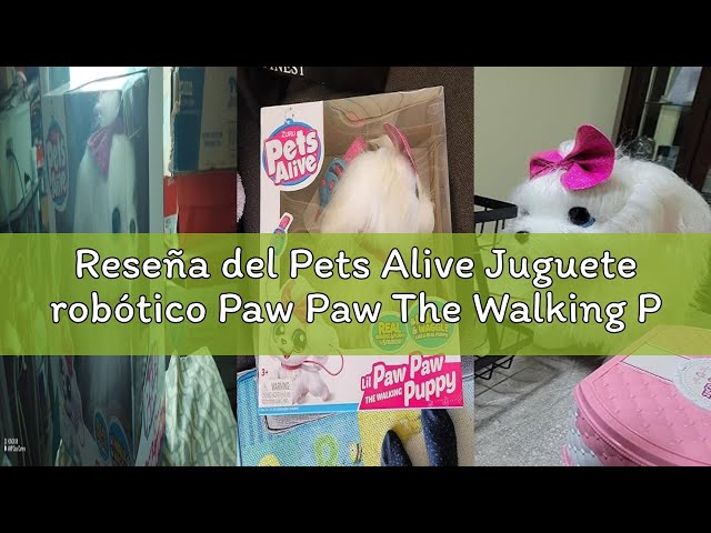 Vídeo relacionado con Pets Alive Juguete robótico Paw Paw The Walking Puppy de ZURU
