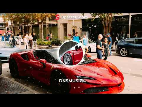 YNY Sebi x Petre Stefan x Niku x Aron TABARA