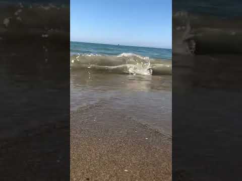 نسنى بحر ليرحل