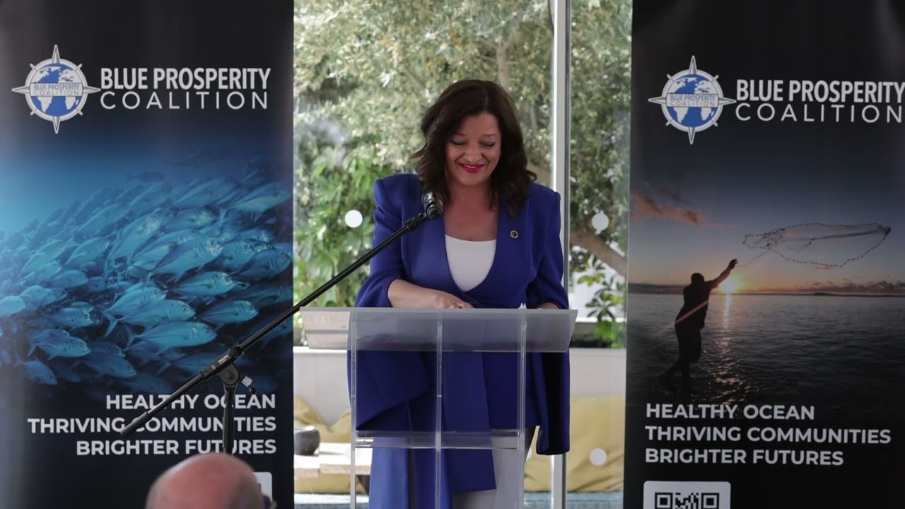 Dr. Dionysia-Theodora Avgerinopoulou | Our Ocean Conference 2024