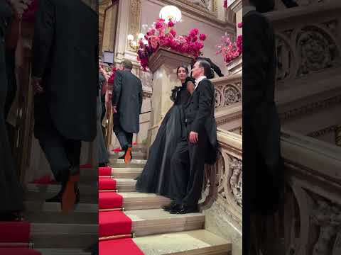 Inside the Glamorous Vienna Opera Ball #shorts #travel #travelvlog #vienna