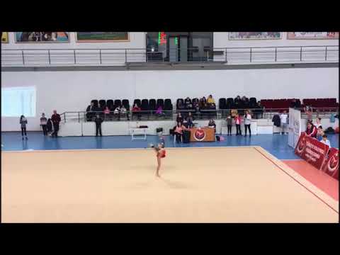 selin Bayraktaroğlu