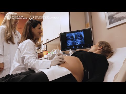 Von der Schwangerschaft bis zur Geburt am AKH Wien.