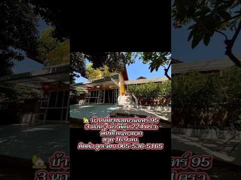 🏡 บ้านเดี่ยวซอยนวมินทร์ 95 ใกล้แยกโพธิ์แก้ว 3 นอน 3 น้ำ ที่ดิน 224 ตร.ว. บรรยากาศร่มรื่นสไตล์วินเทจ พื้นที่ใหญ่หายาก ขาย 16.9 ลบ. สนใจนัดชมบ้านล่วงหน้า ติดต่อ ลูกเจี๊ยบ 065-536-5165 – รูปที่ 2