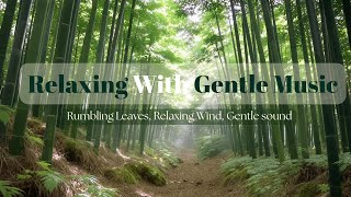 2 Hours Bamboo Water Drops & Garden ASMR 🌿 | Pure Nature Relaxation