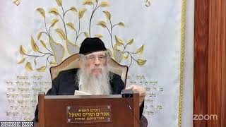 הרה"ג הרב וועכטר שליט"א י"ג תשרי תשפ"ה - מאמר הרבי ד"ה בורא ניב שפתים תשמ"ח חלק ג (הרב אברהם מנחם מענדל וכטר) - התמונה מוצגת ישירות מתוך אתר האינטרנט יוטיוב. זכויות היוצרים בתמונה שייכות ליוצרה. קישור קרדיט למקור התוכן נמצא בתוך דף הסרטון