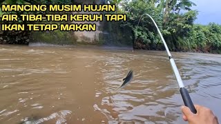 Download lagu Fishing in the rainy season, thank God there are fish everywhere mp3