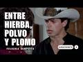 Entre Hierba Polvo Y Plomo Pelicula Completa Accion De Narcos En Español Clasico Mexicano