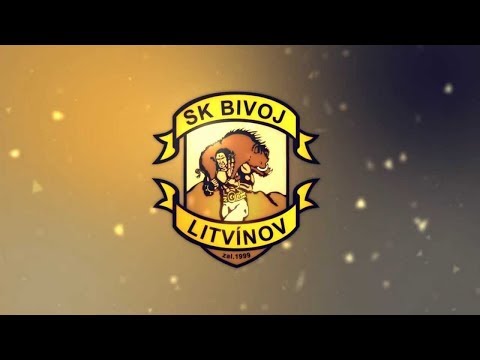 SK Bivojky Litvínov vs Florbalová akademie MB