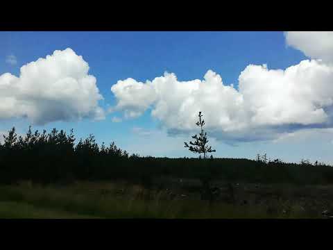 X93 SPECIAL!!! Cloughton to Guisborough bus ride on Arriva North East limping pulsar NK10 CEJ 1433 .