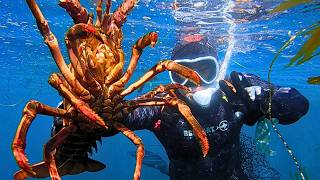 My last lobster dive.