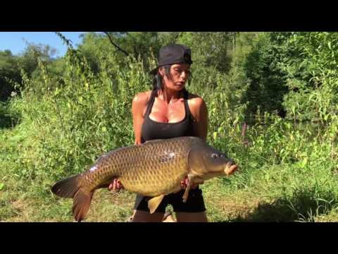 Road tripping with Samir and Claire...