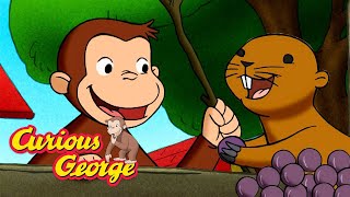 Friends From Underground! 🐵 Curious George 🐵 Kids Cartoon 🐵 Kids Movies
