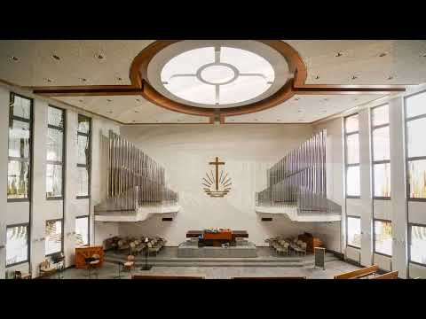 Halleluja! Jesus lebt! (Orgel NAK Fellbach)