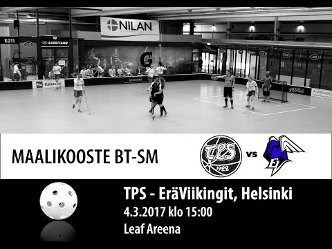 Maalikooste BTSM TPS - EräViikingit 4.3.2017