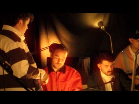 Vera Fauna - Los Grillos (Visual Oficial)