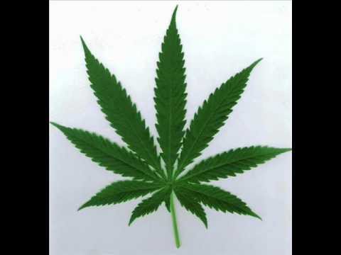 Dizney Killer - Tenn Dem Opp