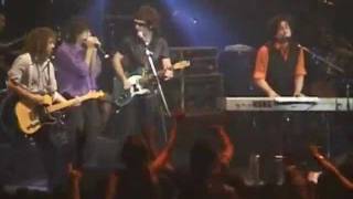 No Se Puede Vivir Del Amor -Andrés Calamaro- En vivo El Regreso, Luna Park 2005.