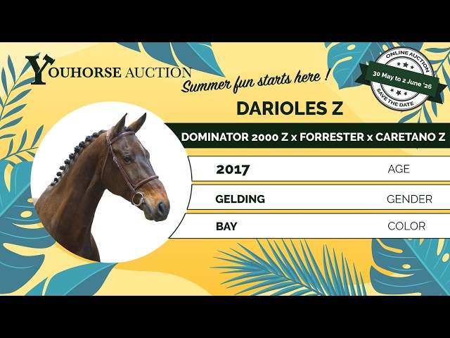 Darioles Z