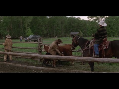 The Horse Whisperer - going to Montana