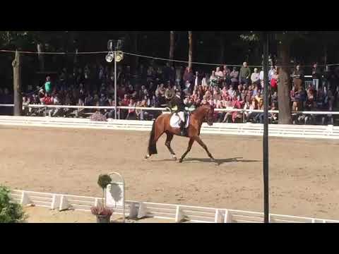 Bundeschampionate 2019: Valverde & Eva Möller