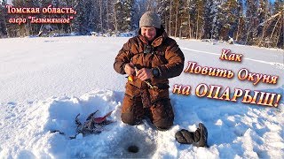 Что клюет зимой на опарыш