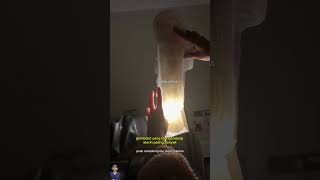 Download lagu 🤣Jenis pembalut berbahaya 😎 mp3 Download lagu 🤣Jenis pembalut berbahaya 😎 mp3