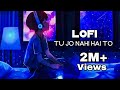 Tu Jo Nahi Hai To Slowed Reverb Lofi Song Lofi Studio 420