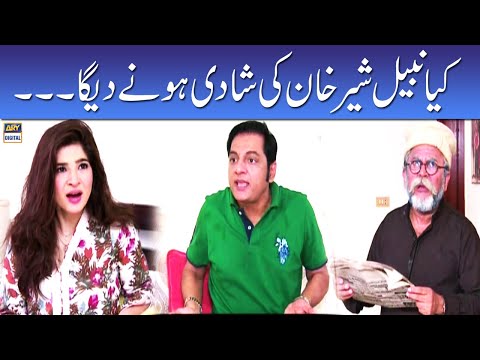 Kiya Nabeel Sher Khan Ki Shadi Honay Dega - Khoobsurat | Bulbulay | ARY Digital