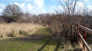 preview picture of video 'Whitemoor Nature Reserve England. 03March,  2009 005'