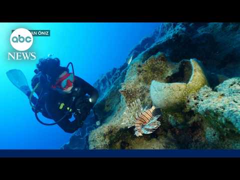 Shipwreck believed to be the world's oldest discovered off the coast of Turkey