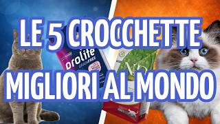 Le 5 MIGLIORI Crocchette per Gatti al Mondo (Classifica Qualità Assoluta)