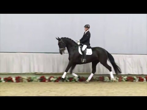 35 Rita  Stute v. Ribery Gold - Royal Angel