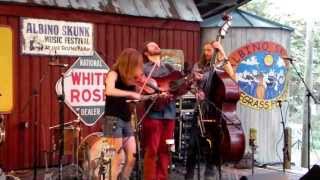 The Stray Birds at Albino Skunk 2013 -- Who's Gonna Shoe Your Pretty Little Feet?