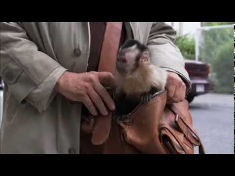 Un cargo pour l'Afrique, Bande Annonce 425x240