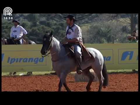 Classificatória Região SC/PR – 7° lugar fêmeas – La Ganga da Don Ferrante (Prova: Bayard/Sarmento)