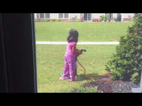 Zara and Zuhair playing in the backyard.