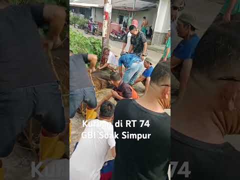 Penyembelihan kurban GBI RT 74 Soak Simpur