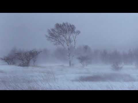 3 Hours Howling Wind Ήχος Αέρα Howling Blizzard Sounds Heavy Wind Sounds For Sleeping Αir Sound