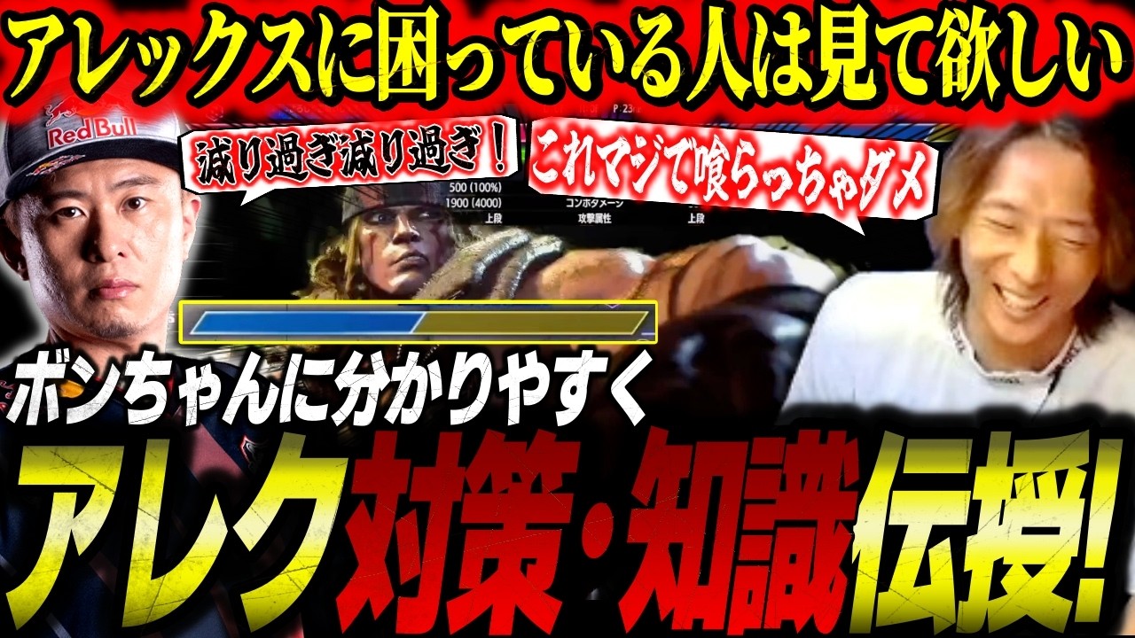 【スト6】知らないと損する！？ボンちゃんにアレックスの強行動・対策・知識を徹底伝授するどぐら【ストリートファイター6】【切り抜き】
