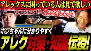 【スト6】知らないと損する！？ボンちゃんにアレックスの強行動・対策・知識を徹底伝授するどぐら【ストリートファイター6】【切り抜き】
